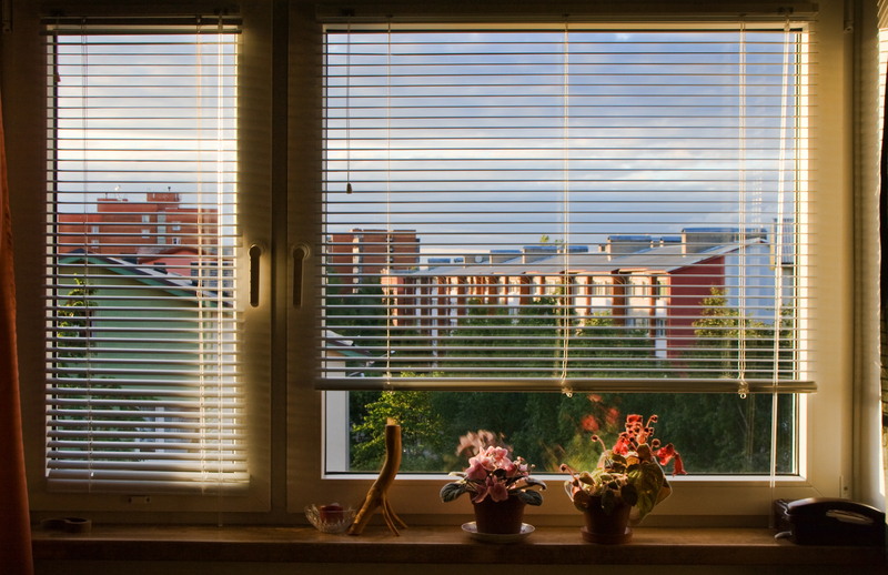 blinds in the sun
